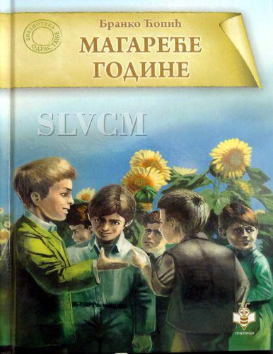 Magareće godine